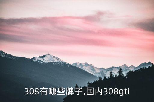 308有哪些牌子,国内308gti
