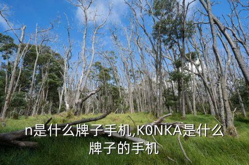 n是什么牌子手机,K0NKA是什么牌子的手机