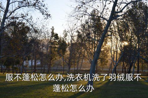 服不蓬松怎么办,洗衣机洗了羽绒服不蓬松怎么办
