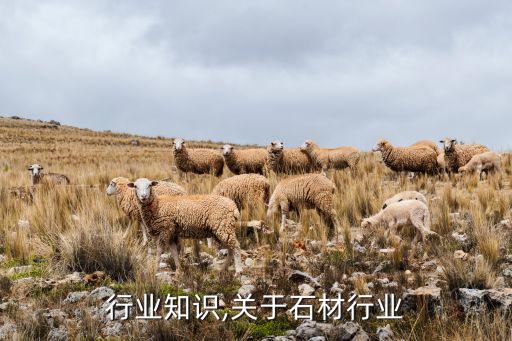 行业知识,关于石材行业