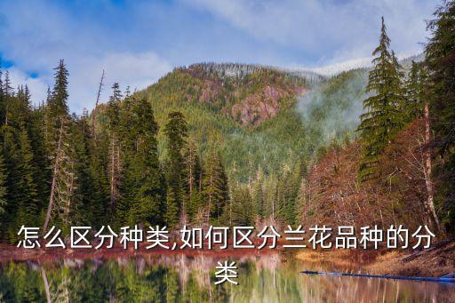 兰花怎么区分种类,如何区分兰花品种的分类