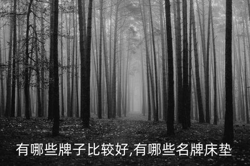 床垫有哪些牌子比较好,有哪些名牌床垫?