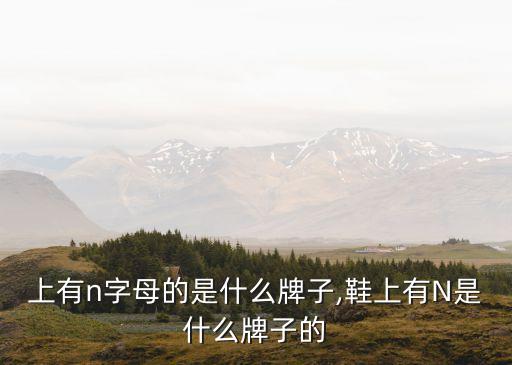鞋子上有n字母的是什么牌子,鞋上有N是什么牌子的?
