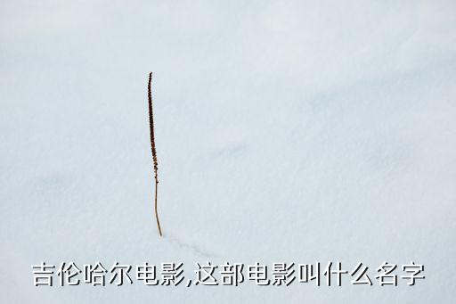 杰克吉伦哈尔电影,这部电影叫什么名字?