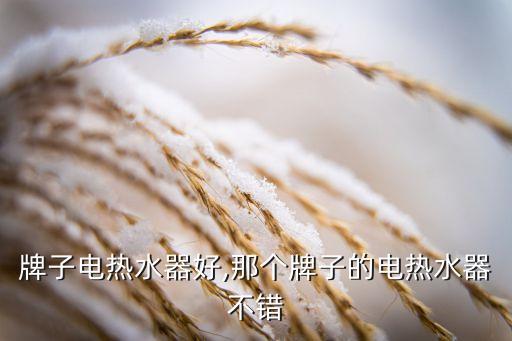 牌子电热水器好,那个牌子的电热水器不错