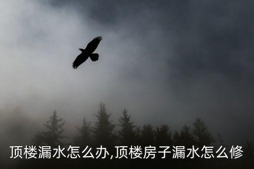 房子顶楼漏水怎么办,顶楼房子漏水怎么修