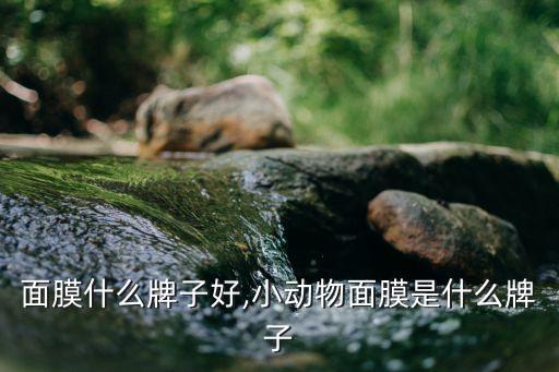 动物面膜什么牌子好,小动物面膜是什么牌子?