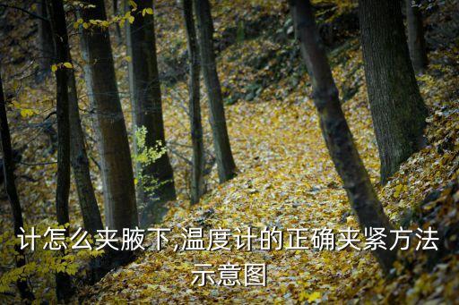 温度计怎么夹腋下,温度计的正确夹紧方法示意图