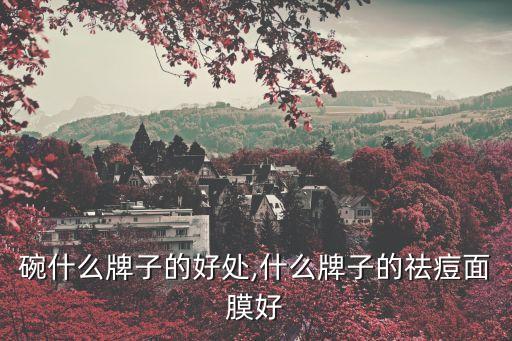 面膜碗什么牌子的好处,什么牌子的祛痘面膜好?