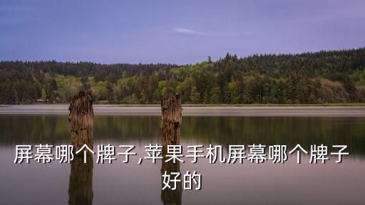手机屏幕哪个牌子,苹果手机屏幕哪个牌子好的