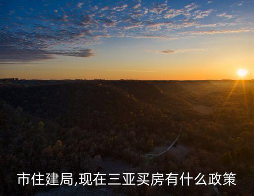 三亚市住建局,现在三亚买房有什么政策?