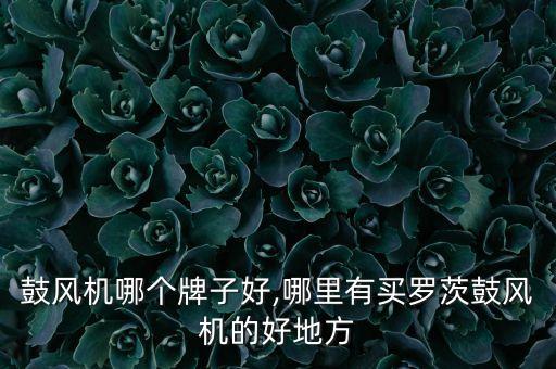 鼓风机哪个牌子好,哪里有买罗茨鼓风机的好地方