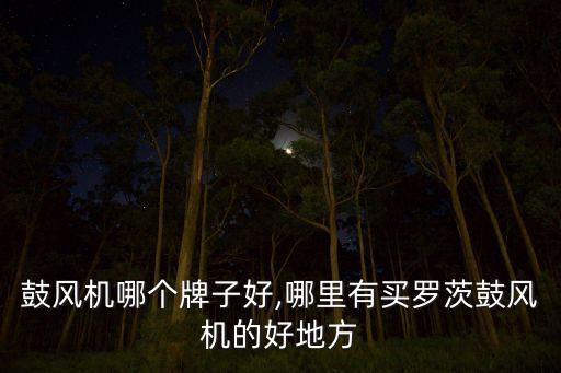 罗茨鼓风机哪个牌子好,哪里有买罗茨鼓风机的好地方?