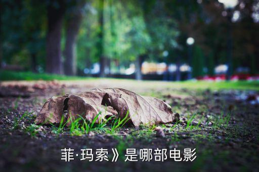 《苏菲·玛索》是哪部电影?