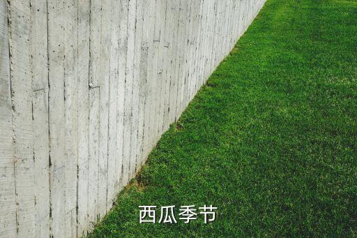 西瓜季节