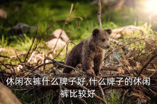 休闲衣裤什么牌子好,什么牌子的休闲裤比较好