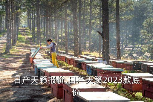 东风日产天籁报价,日产天籁2023款底价