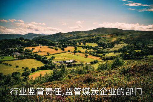 煤炭行业监管责任,监管煤炭企业的部门