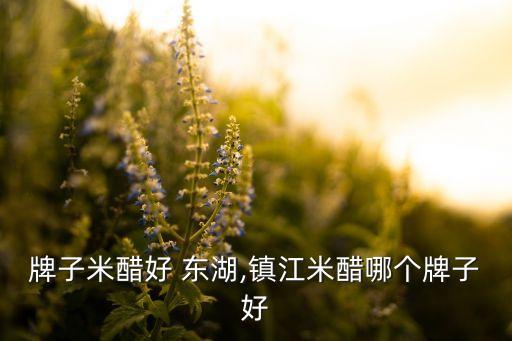 牌子米醋好 东湖,镇江米醋哪个牌子好