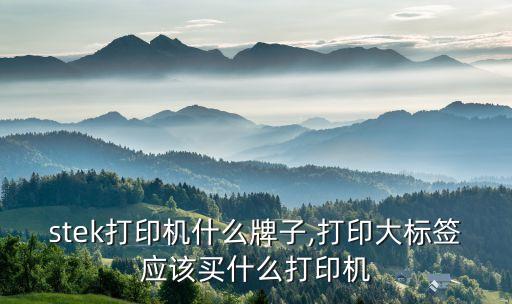 postek打印机什么牌子,打印大标签应该买什么打印机?
