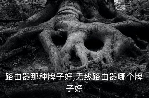 无线路由器那种牌子好,无线路由器哪个牌子好?