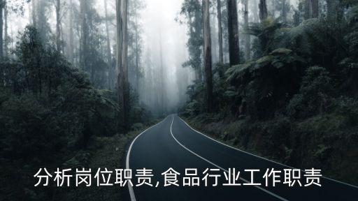 分析岗位职责,食品行业工作职责