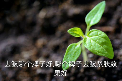 紧肤去皱哪个牌子好,哪个牌子去皱紧肤效果好?
