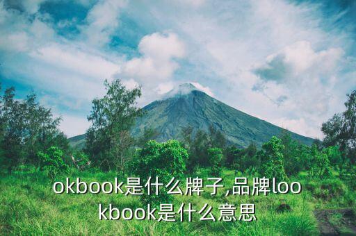 lookbook是什么牌子,品牌lookbook是什么意思?