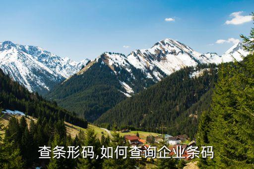 查条形码,如何查询企业条码