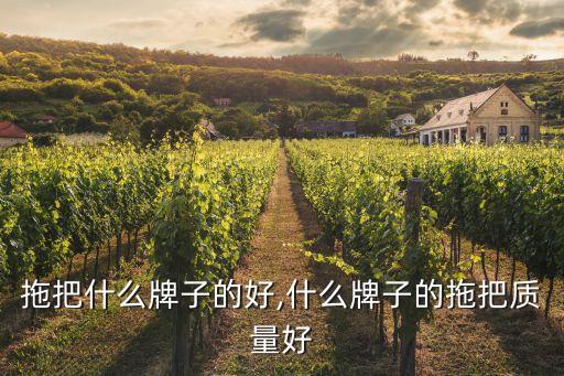 旋转拖把什么牌子的好,什么牌子的拖把质量好?