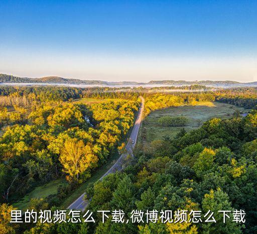 微博里的视频怎么下载,微博视频怎么下载?