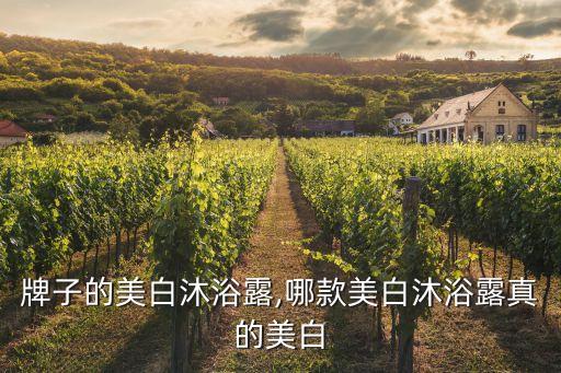 牌子的美白沐浴露,哪款美白沐浴露真的美白