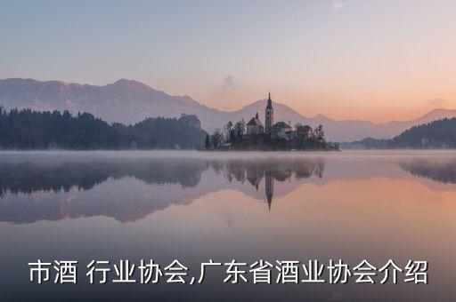 深圳市酒 行业协会,广东省酒业协会介绍