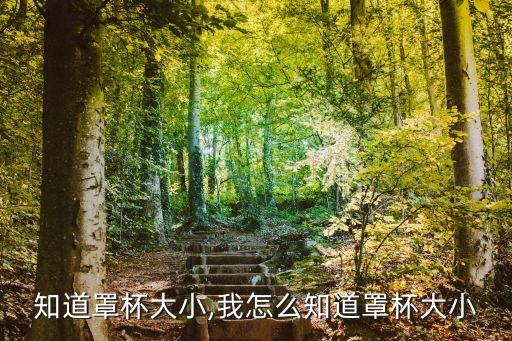 怎么知道罩杯大小,我怎么知道罩杯大小?