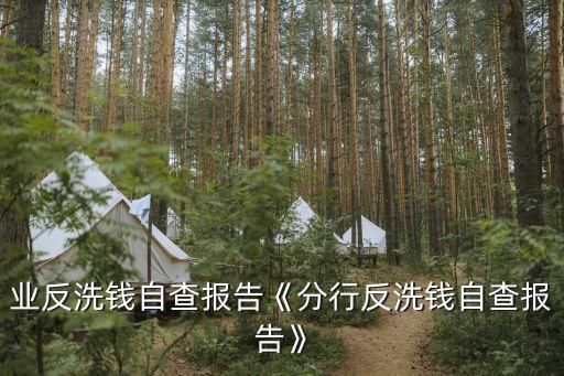 银行业反洗钱自查报告《分行反洗钱自查报告》