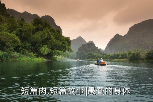 小说短篇肉,短篇故事||愚蠢的身体
