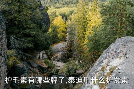 护毛素有哪些牌子,泰迪用什么护发素