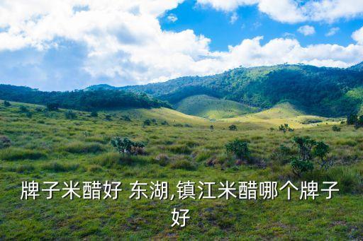 牌子米醋好 东湖,镇江米醋哪个牌子好