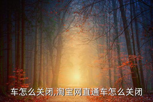 车怎么关闭,淘宝网直通车怎么关闭