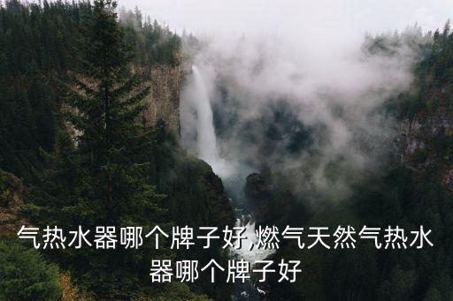 天然气热水器哪个牌子好,燃气天然气热水器哪个牌子好