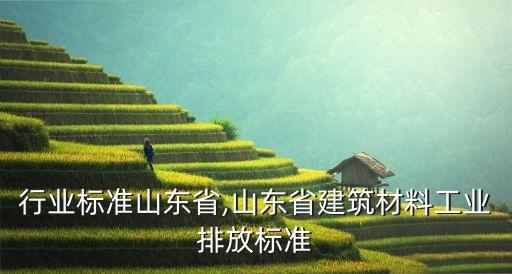 建材行业标准山东省,山东省建筑材料工业排放标准