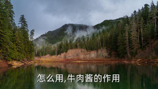 牛膏怎么用,牛肉酱的作用