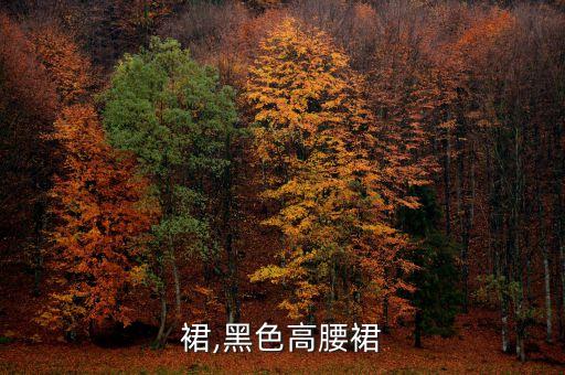 裙,黑色高腰裙