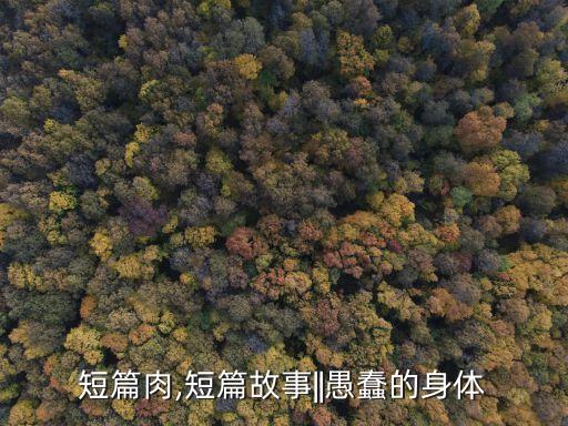 短篇肉,短篇故事||愚蠢的身体
