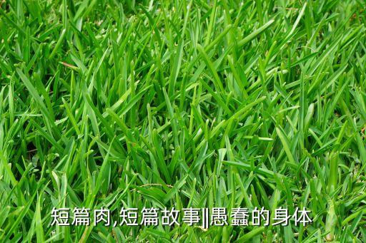 短篇肉,短篇故事||愚蠢的身体