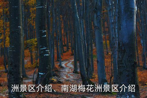 梅花洲景区介绍、南湖梅花洲景区介绍