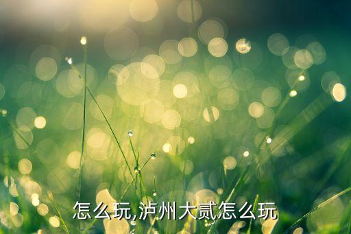 大贰怎么玩,泸州大贰怎么玩