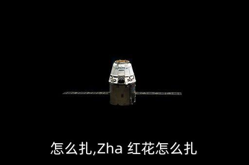 红花怎么扎,Zha 红花怎么扎
