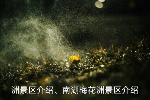 洲景区介绍、南湖梅花洲景区介绍