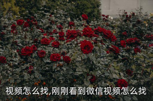 视频怎么找,刚刚看到微信视频怎么找